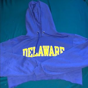 Cropped champion hoodie